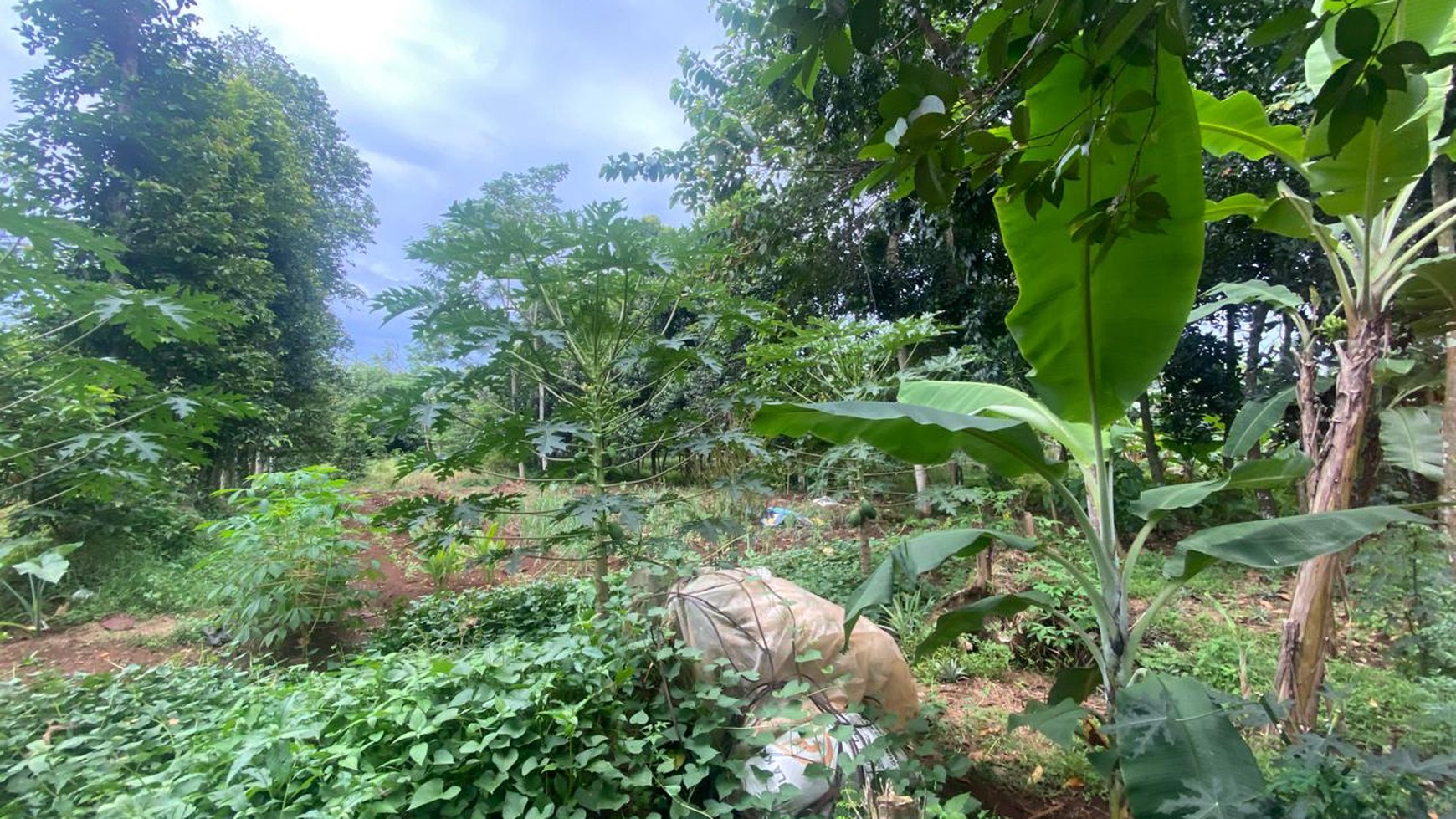 TANAH LUAS 2300 METER PERSEGI DI LEUWINANGGUNG, TAPOS
