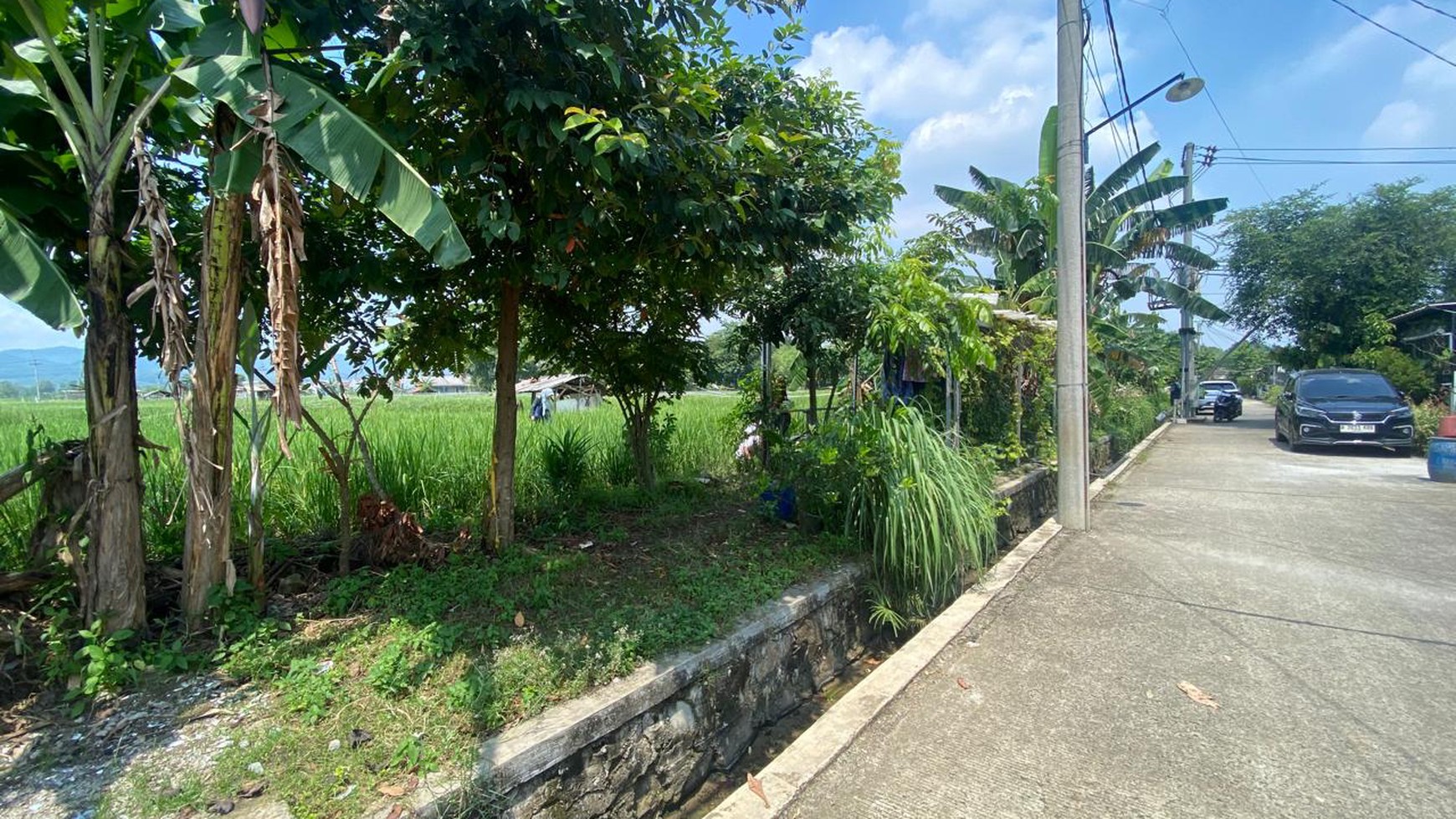 LAHAN SAWAH LUAS 2300 METER PERSEGI DI KLAPANUNGGAL BOGOR