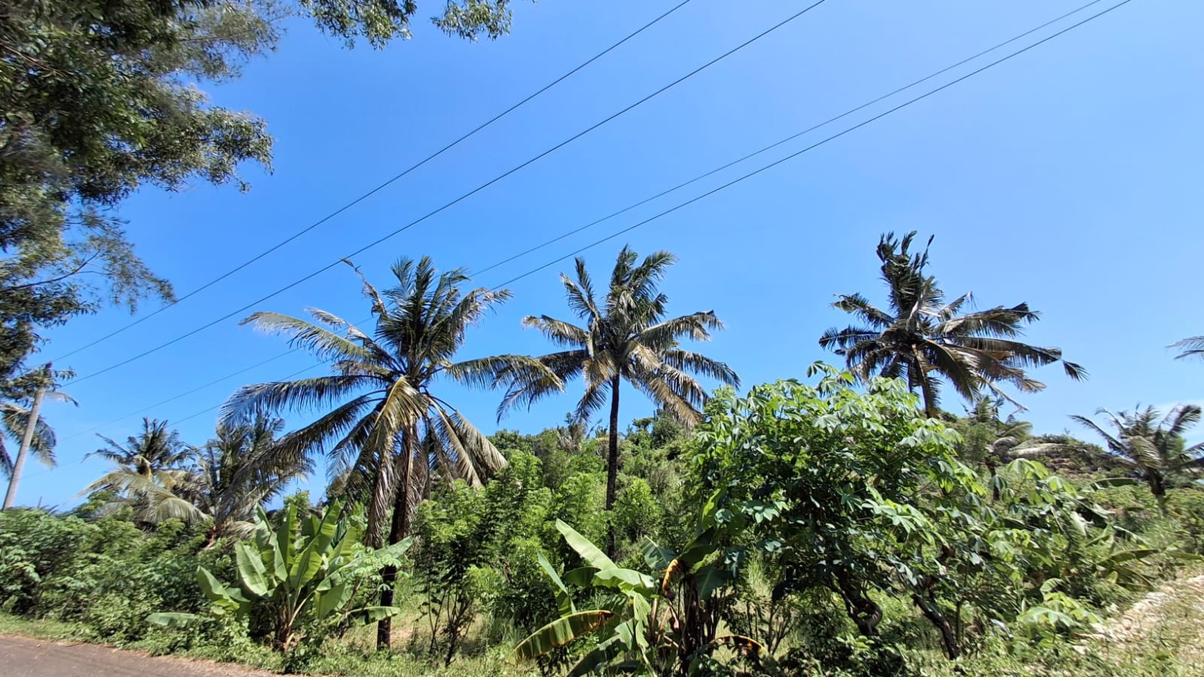 Tanah Luas Lokasi Dekat Objek Wisata Heha Sky View Gunung Kidul