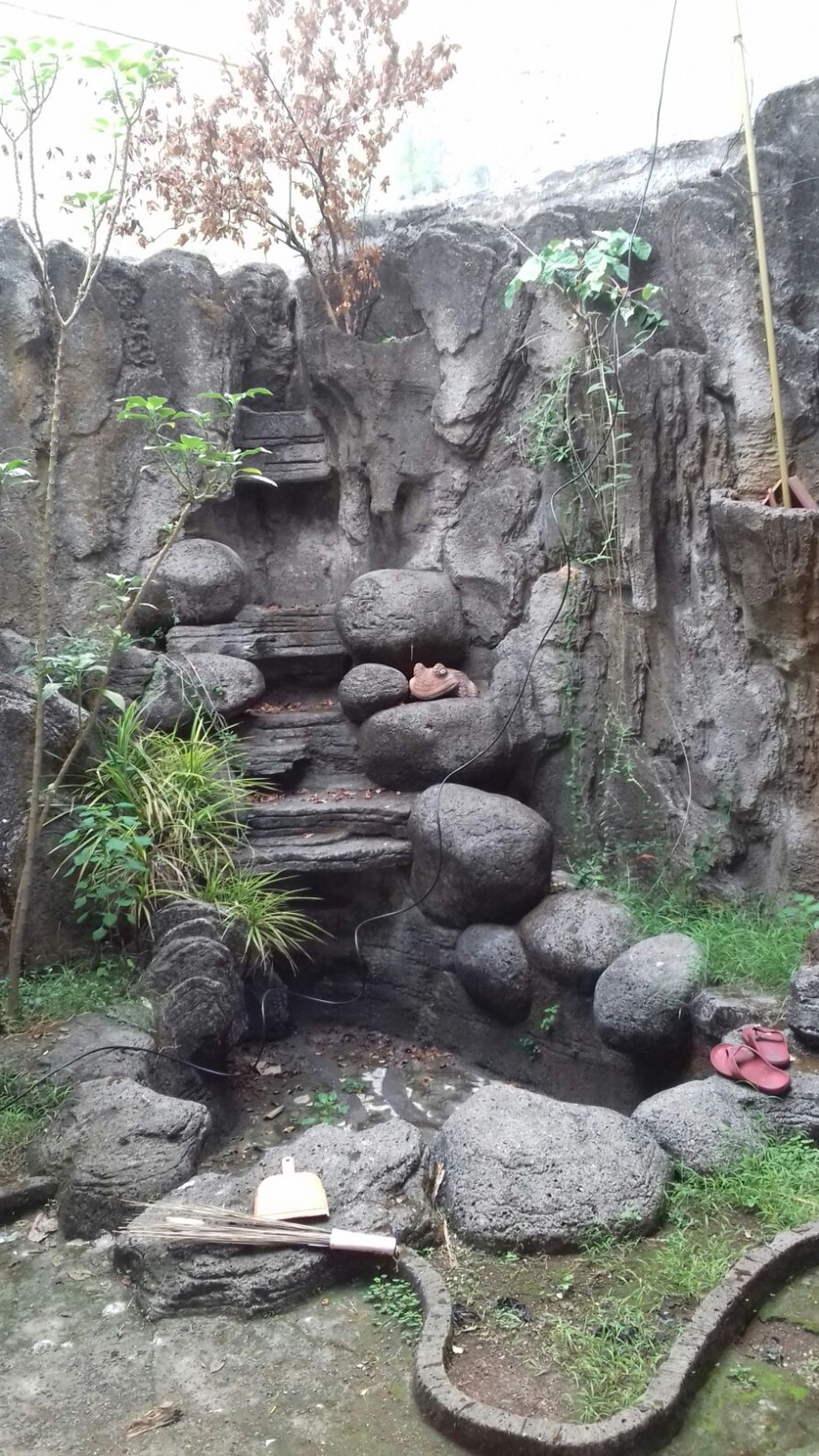 Rumah Asri Nyaman Lokasi Strategis Di Ragunan Jakarta Selatan