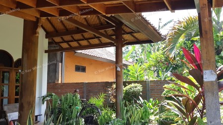 House for sale in central Lovina