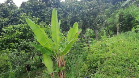 Land for sale with valley view