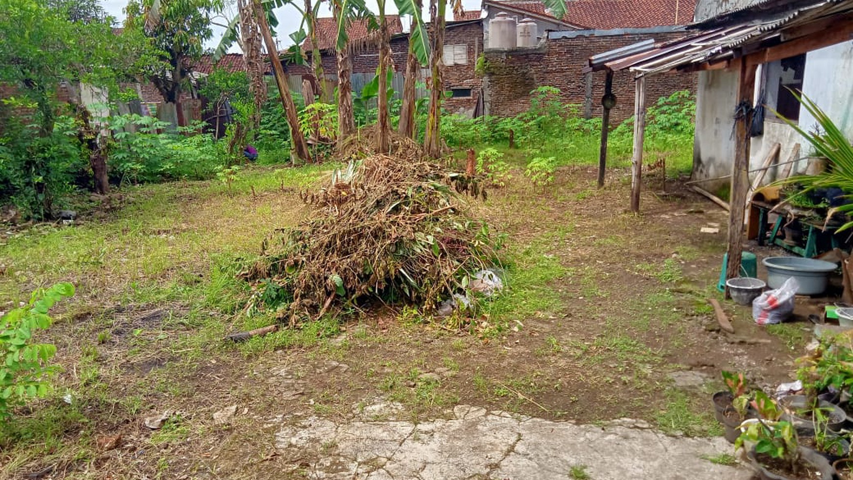 Rumah tua hook di hitung tanah di purwokerto