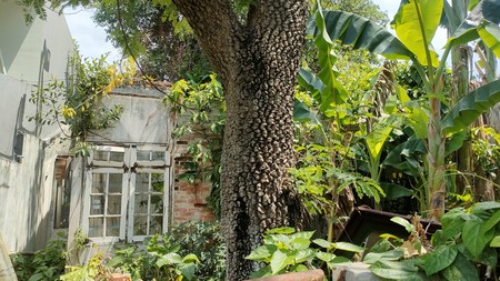 Rumah hitung tanah Villa Delima Blok F,  200 m2,  10 menit MRT Lebak Bulus dan Fatmawati, serta kantor South Quarter