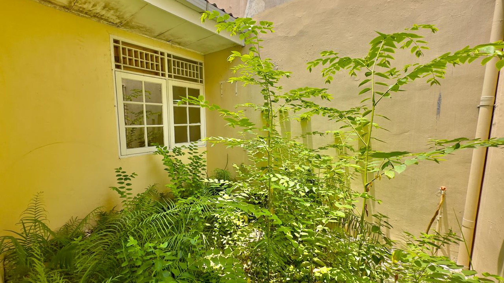 Harga Terjangkau Rumah di Bintaro Sektor 9 Tangerang 