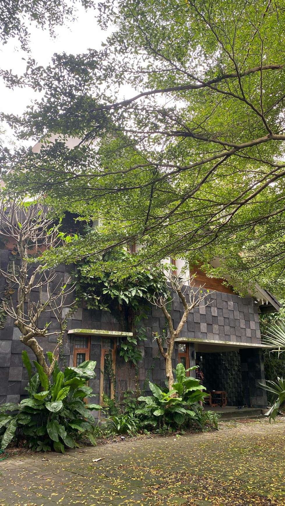Rumah Tinggal Cocok Untuk Villa Lokasi Dekat Kawasan Wisata Kaliurang