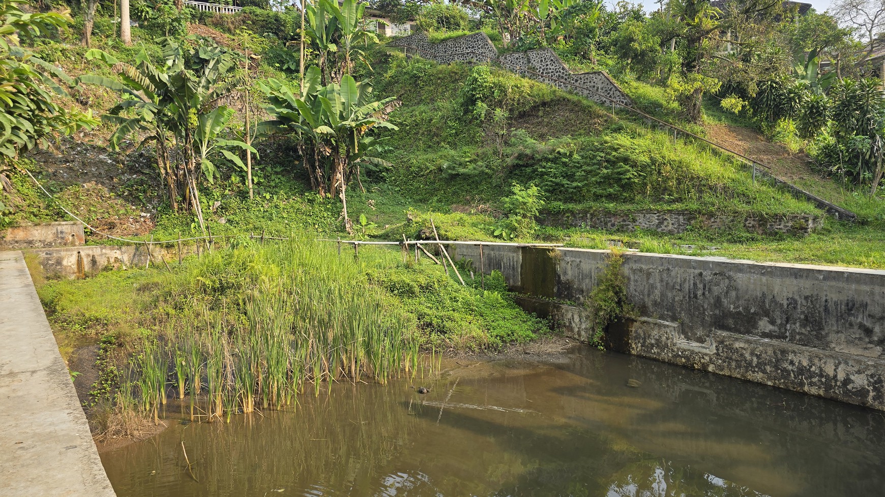 Pondok Sekar Hotel di Pinggir Jalan Utama, Lokasi Strategis, Jl Raya Cipayung, Bogor, Jawa Barat