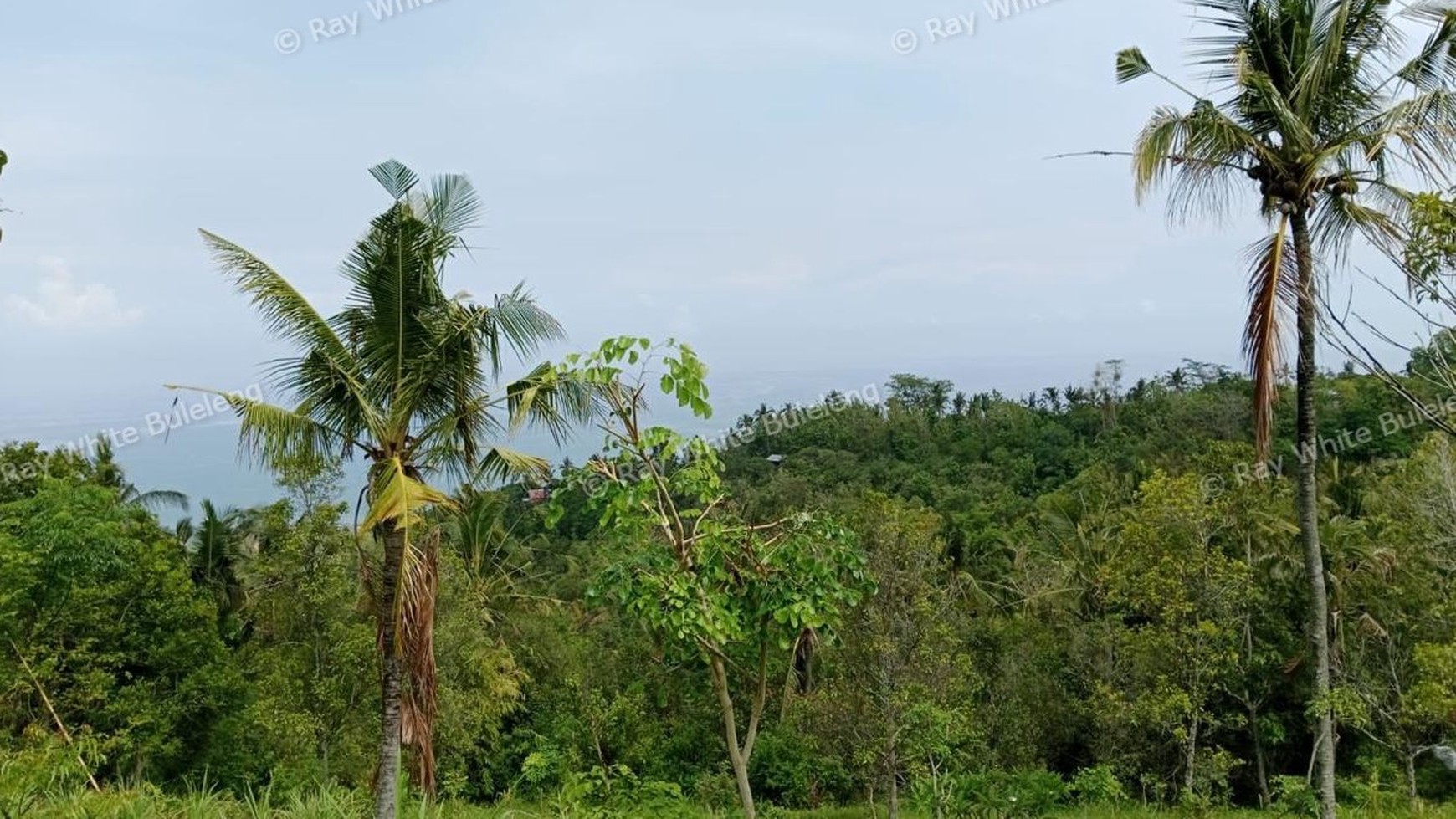 Prime Hillside Plot with Breathtaking Ocean Vista in Cempaga