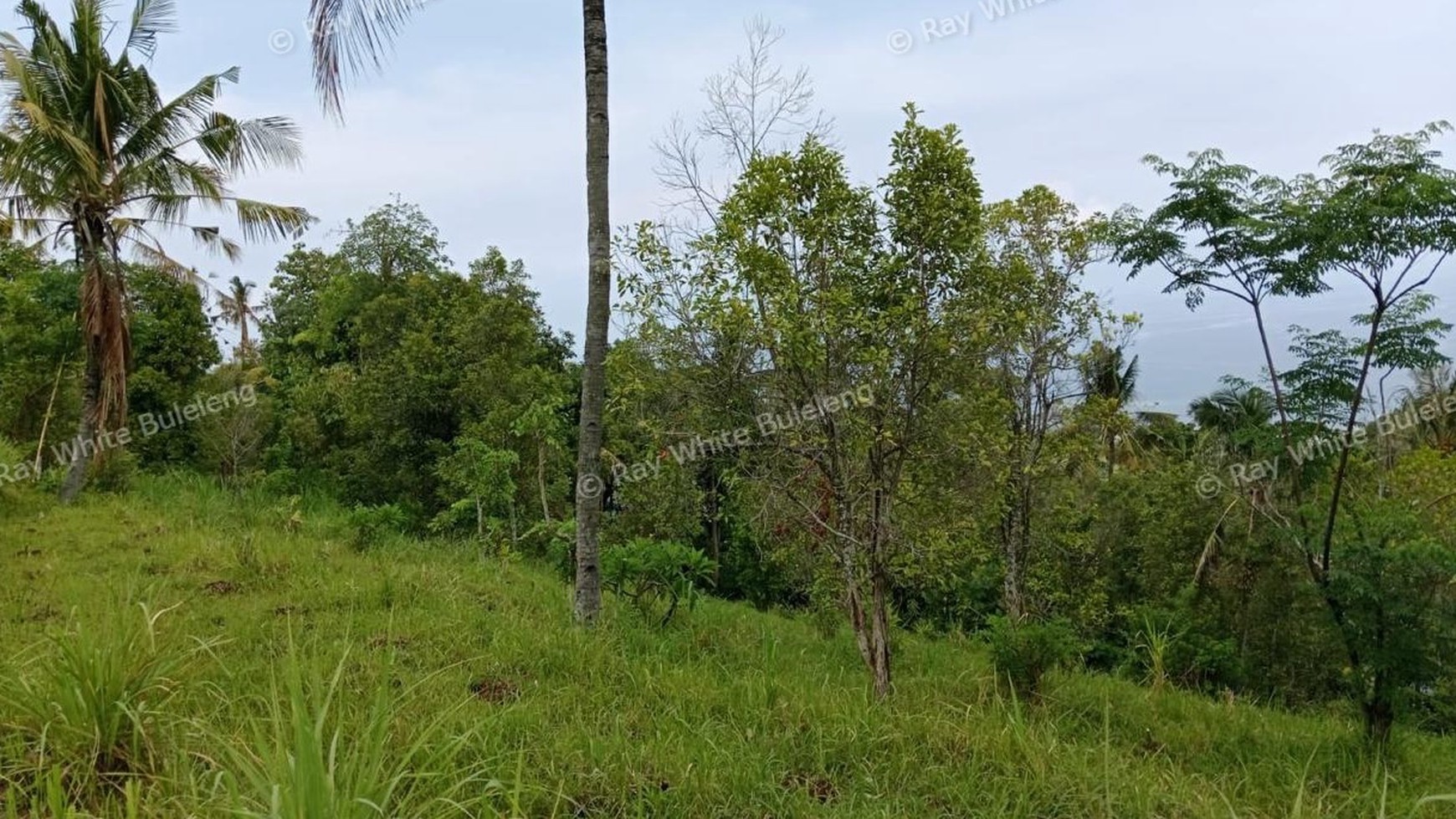 Prime Hillside Plot with Breathtaking Ocean Vista in Cempaga