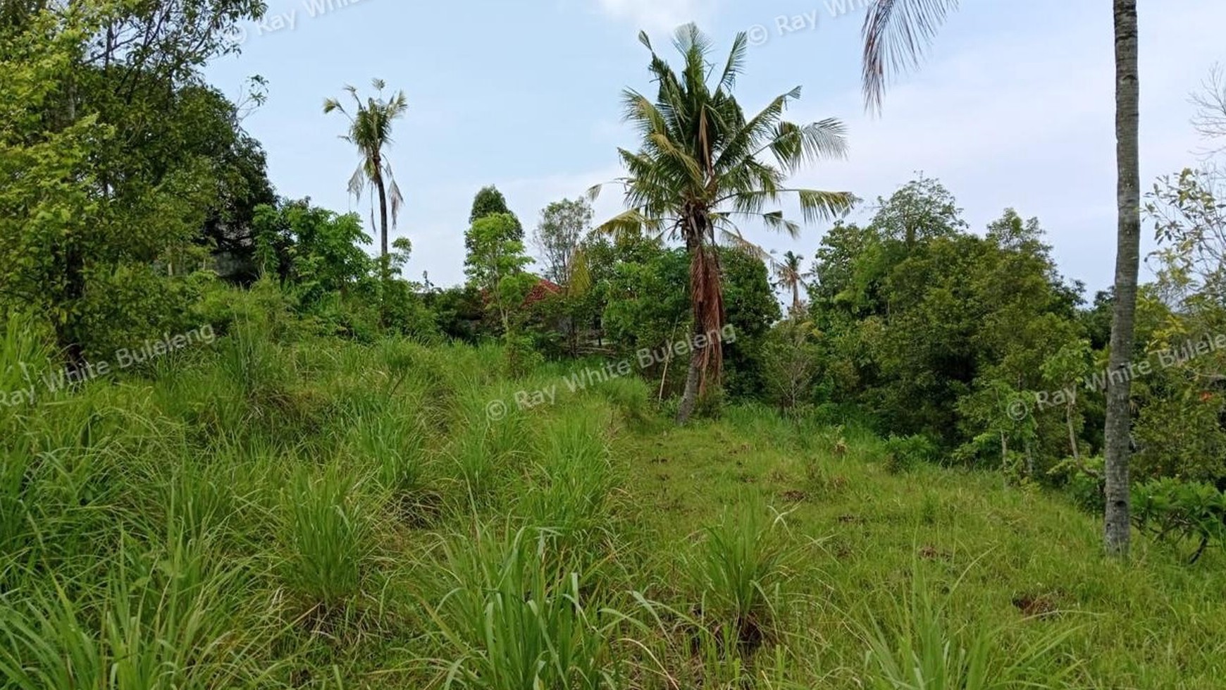 Prime Hillside Plot with Breathtaking Ocean Vista in Cempaga