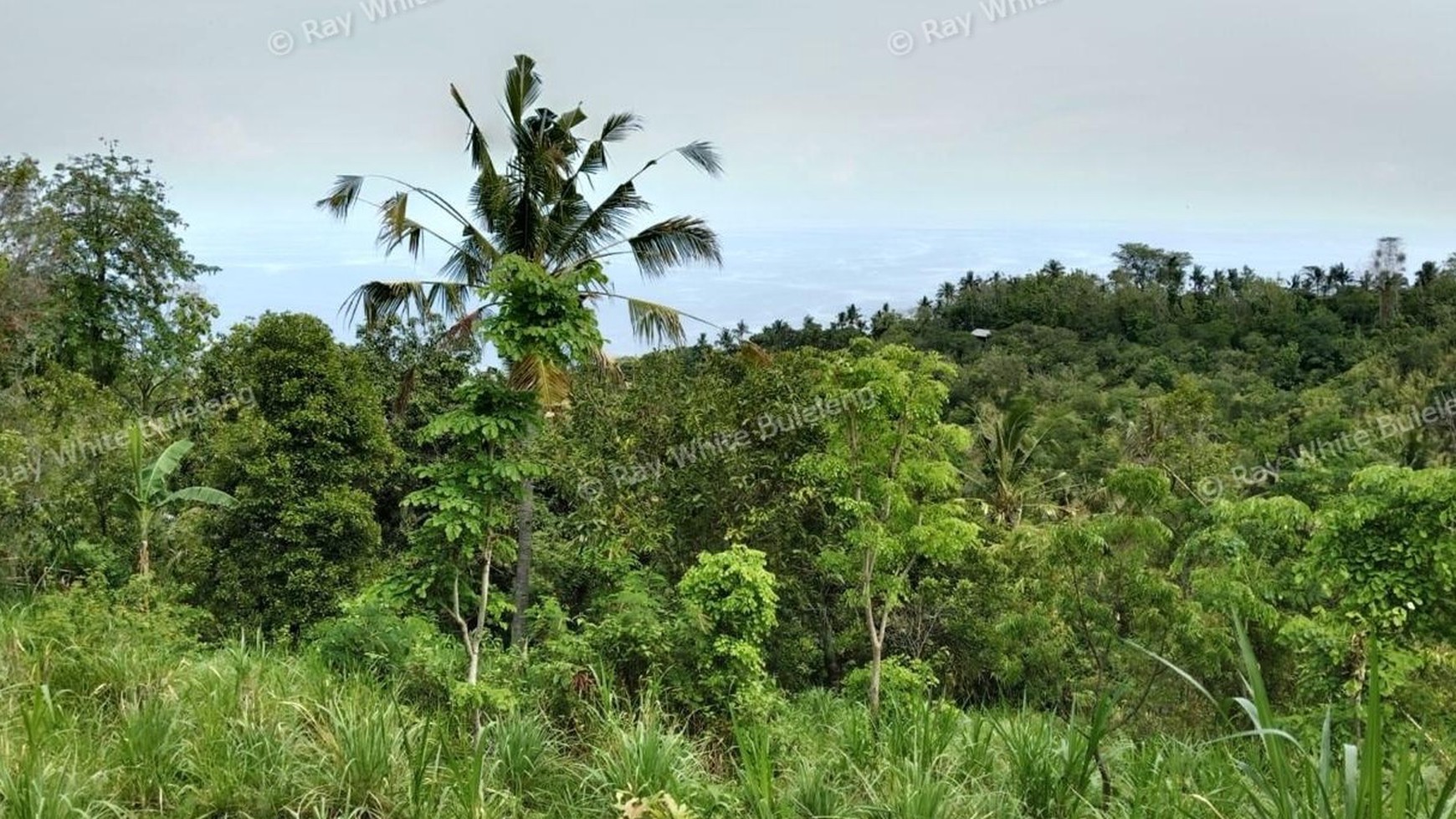 Prime Hillside Plot with Breathtaking Ocean Vista in Cempaga