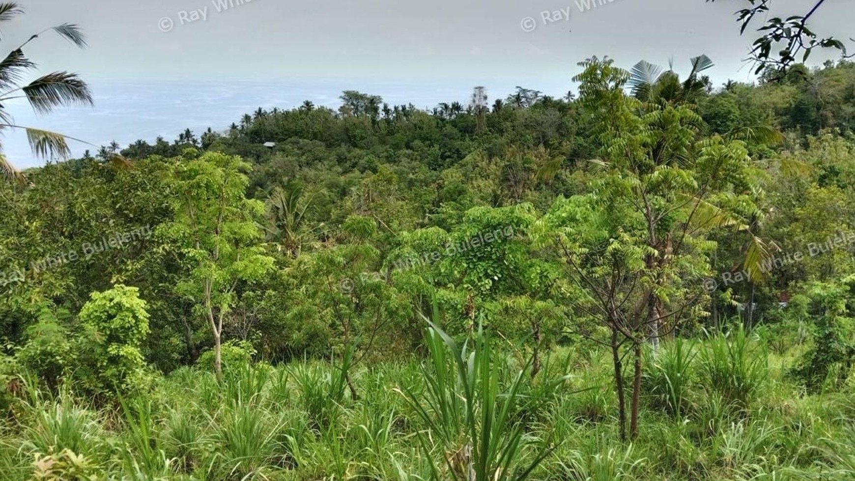 Prime Hillside Plot with Breathtaking Ocean Vista in Cempaga