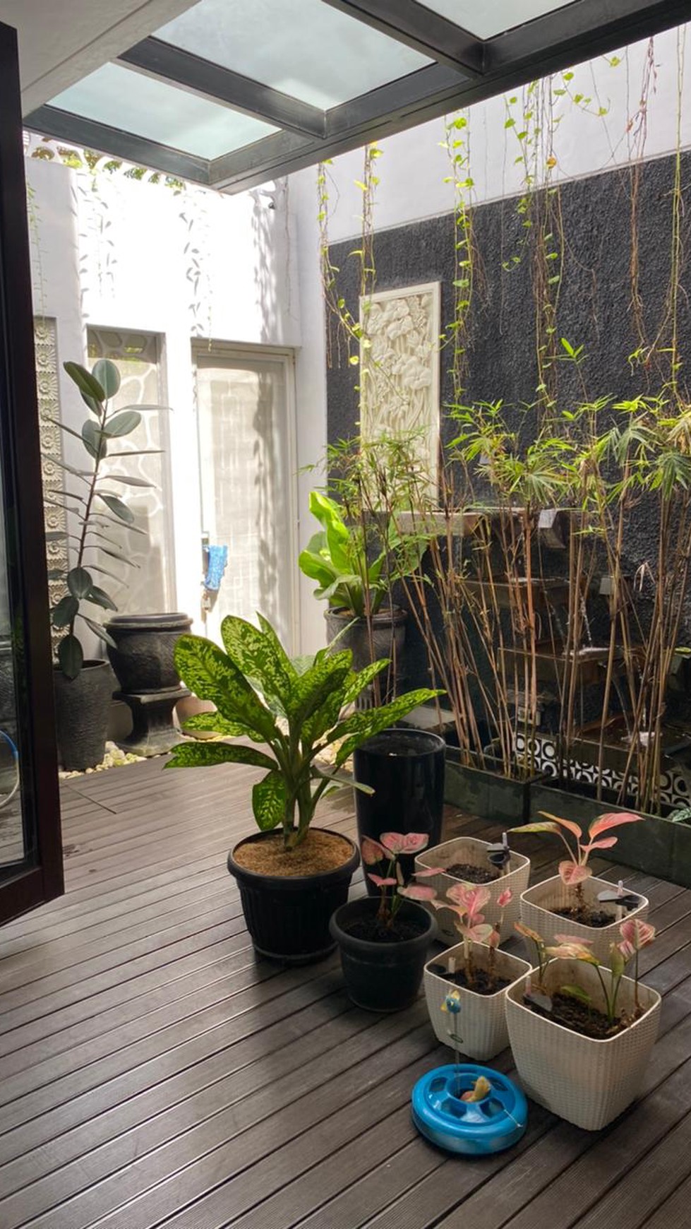 Rumah Siap Huni, Posisi HOOK, dan Hunian Asri @Discovery Serenity Bintaro