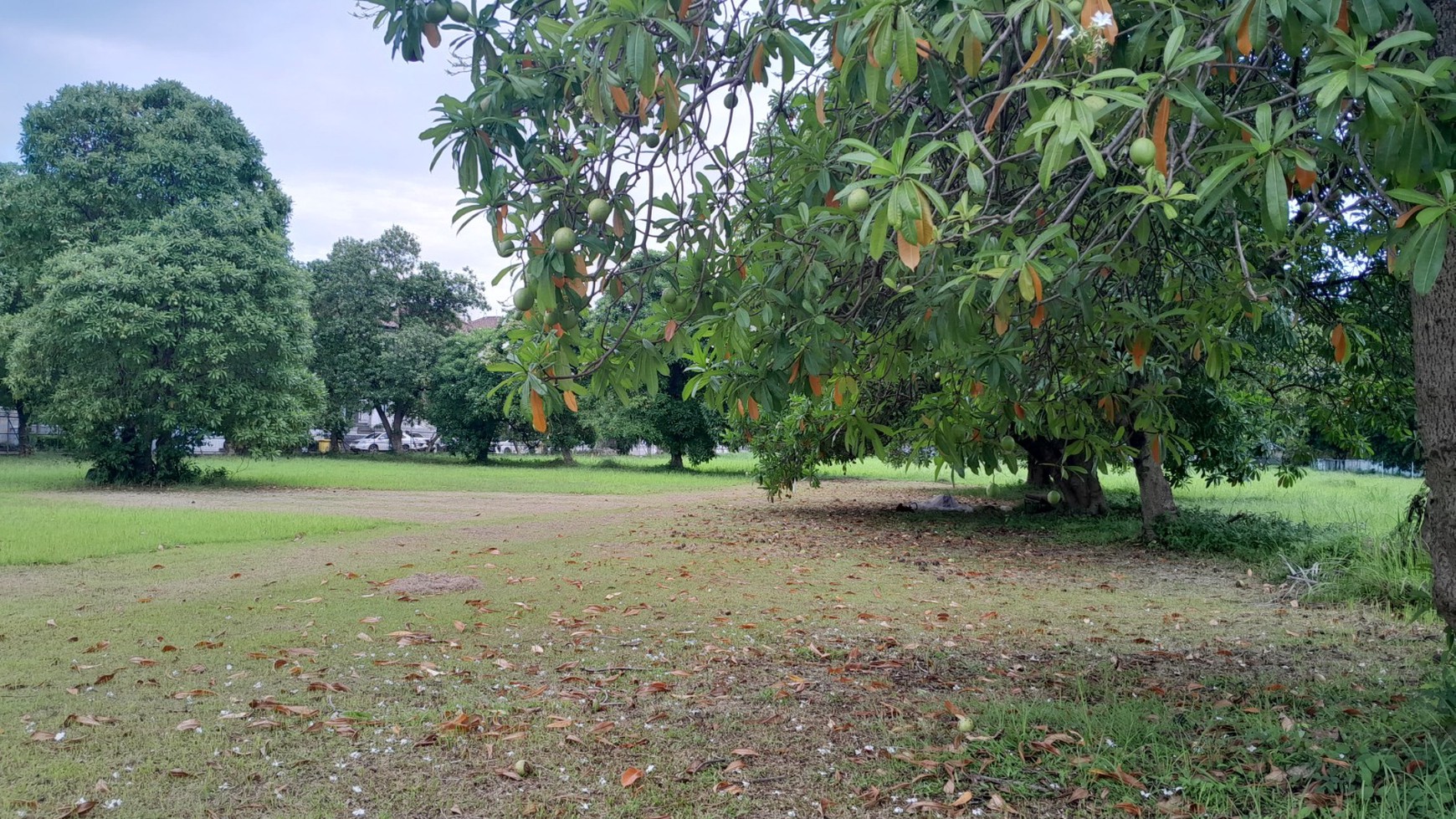 Kavling Siap Bangun di Jakarta Selatan