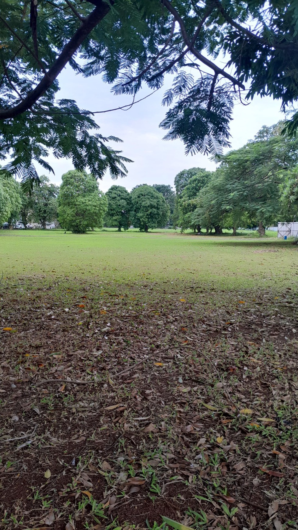 Kavling Siap Bangun di Jakarta Selatan