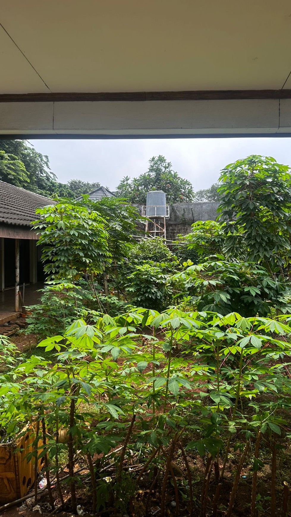 Rumah Bagus Di Jl Kemanggisan Jaya Slipi Jakarta Barat