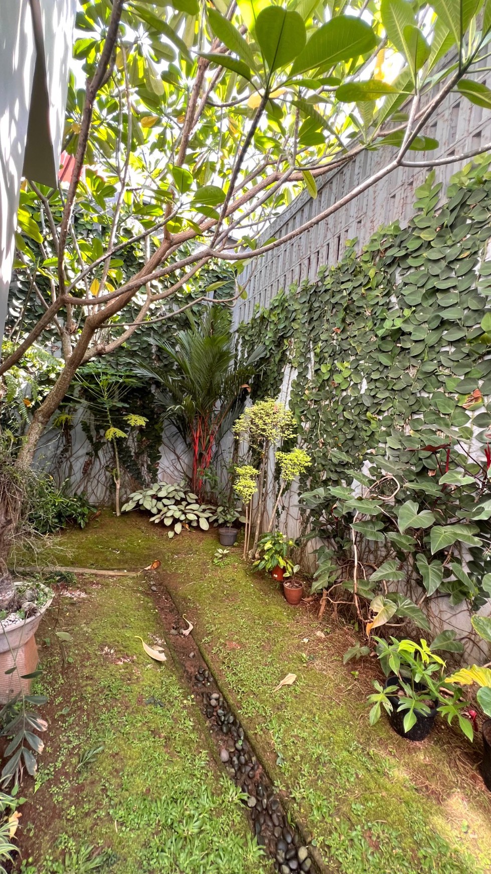 Rumah Bagus Di Puri Padi-padi Ciputat Tangerang Selatan