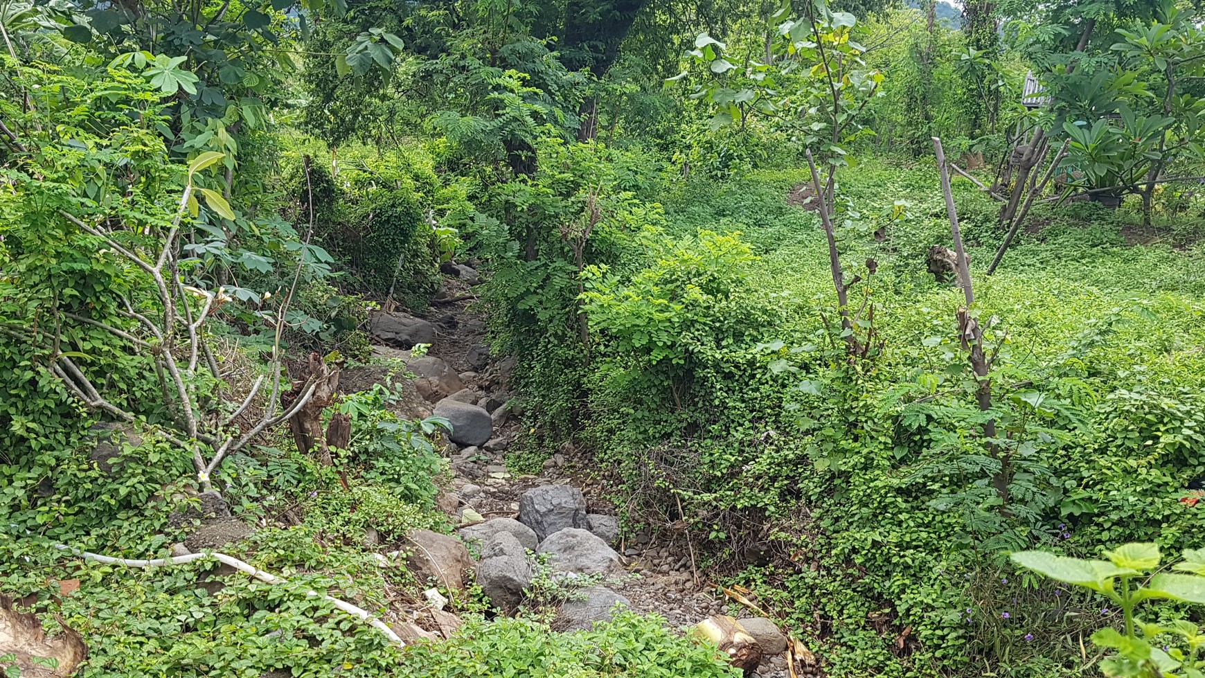 Land for sale in Pemuteran