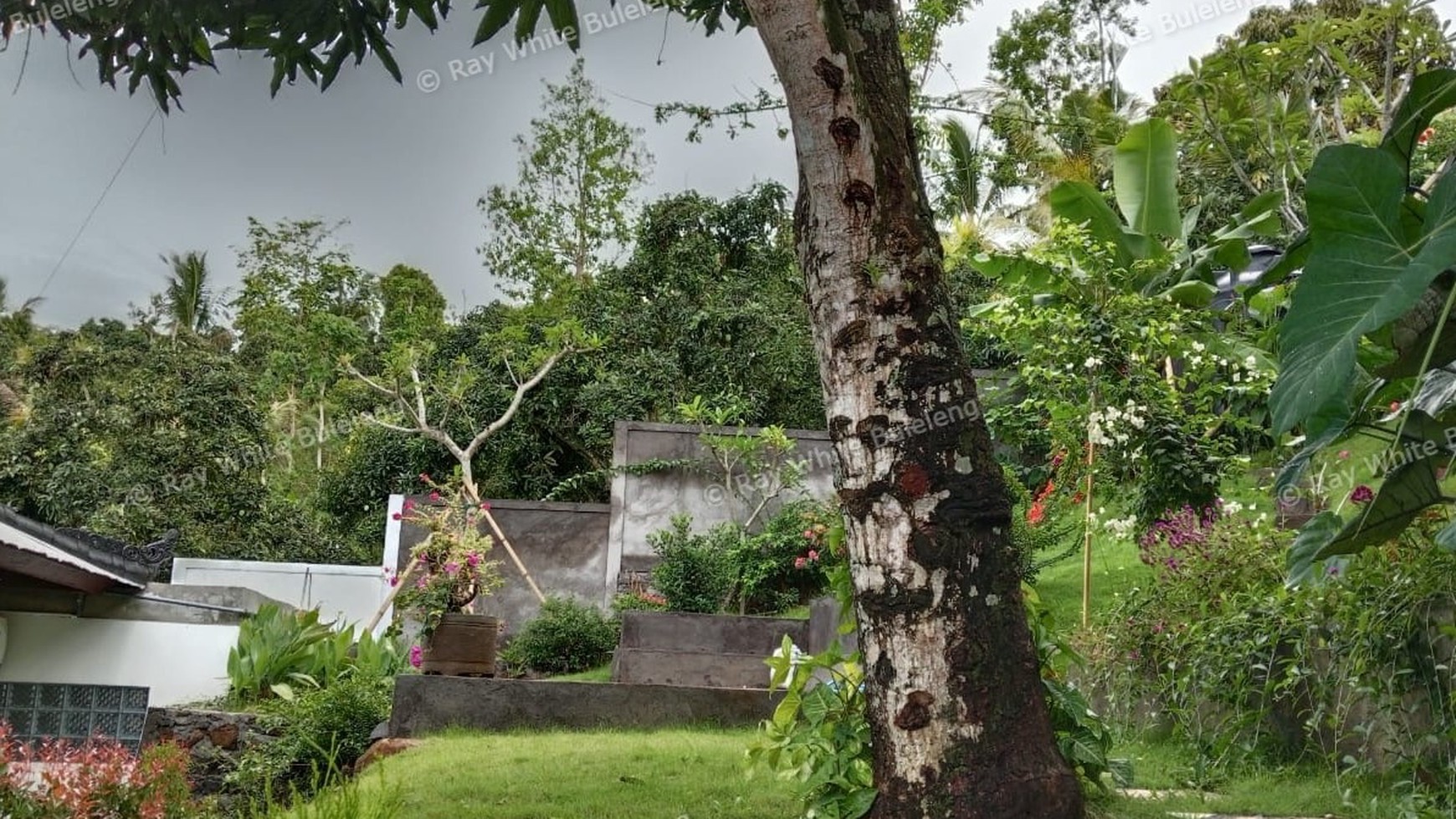 Super Ocean View Villa For Sale in Lovina