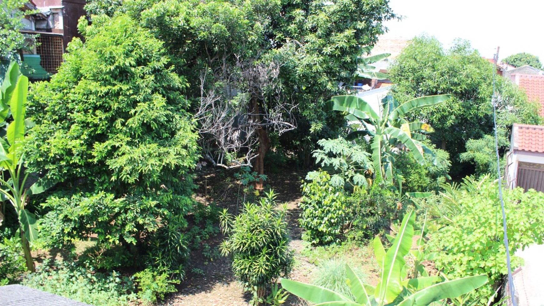 Tanah Saja Bonus Rumah Tinggal Luas 960m2 di Ciracas Jakarta Timur