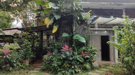 Dijual Rumah Kebun Luas di Pakuan, Bogor Selatan, Kota Bogor