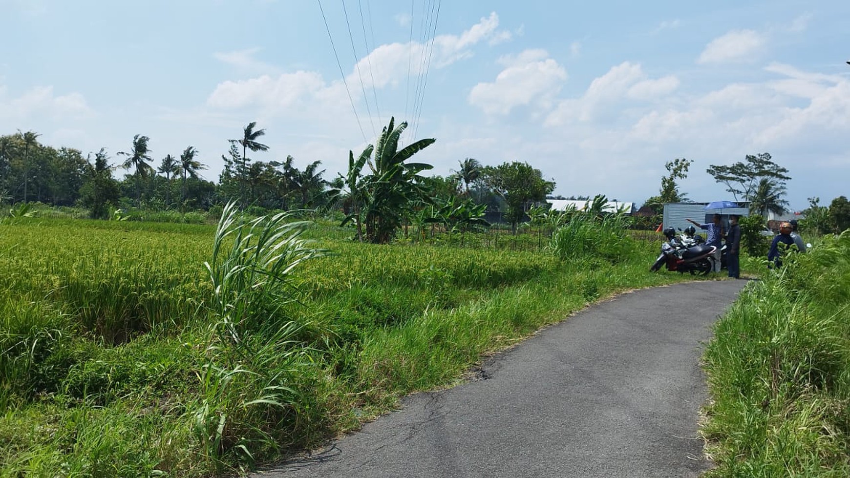 Tanah Sawah Luas 1337 Meter Persegi Lokasi Rejodani Ngaglik Sleman