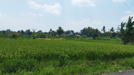Tanah Sawah Luas 1337 Meter Persegi Lokasi Rejodani Ngaglik Sleman 