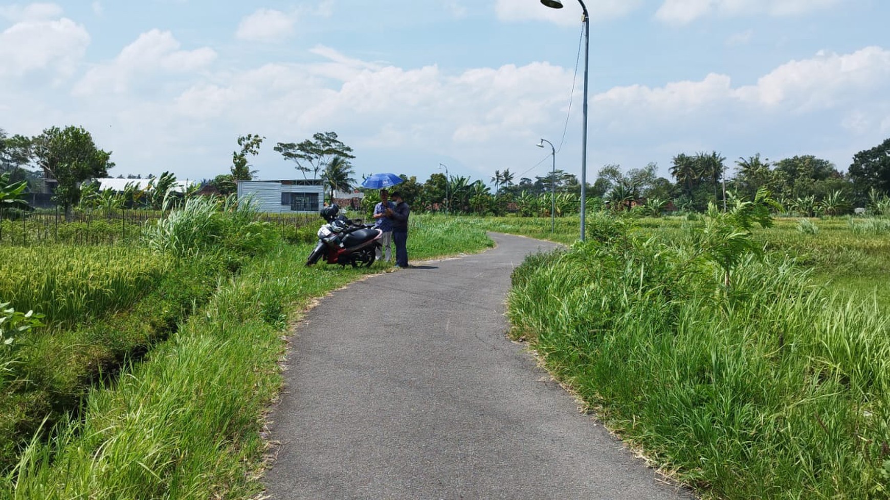 Tanah Sawah Luas 1337 Meter Persegi Lokasi Rejodani Ngaglik Sleman