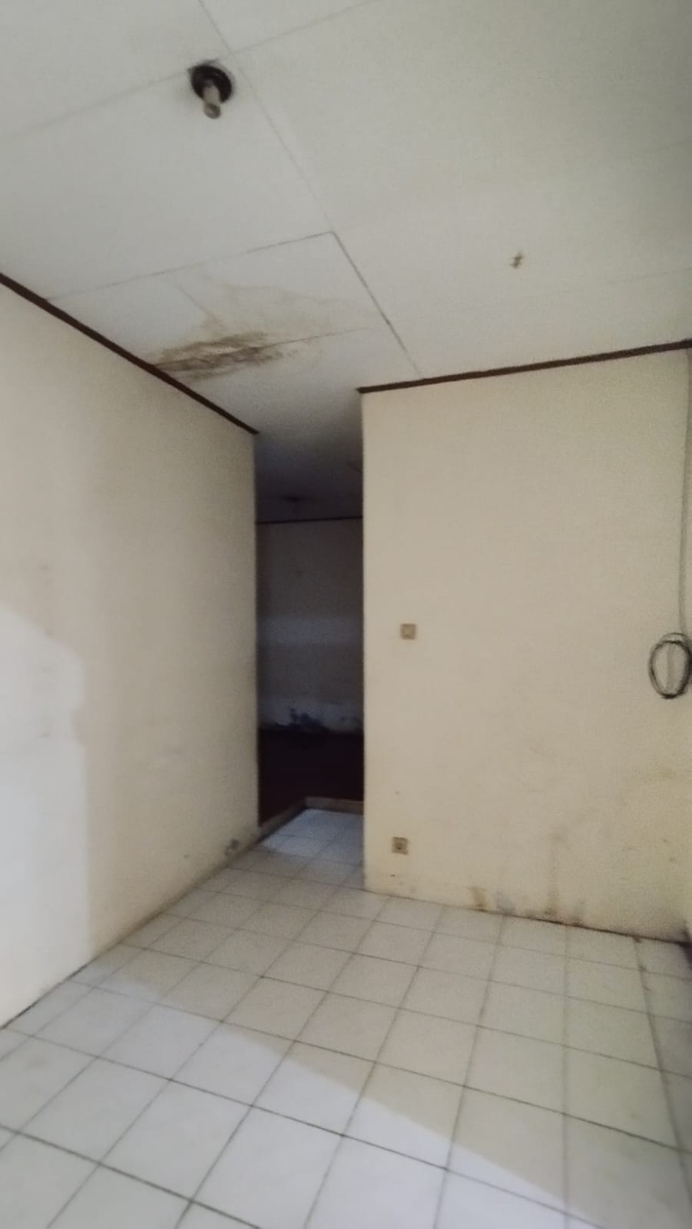 Dijual cepat rumah di jalan pinus griya loka bsd city strategis murah siap huni
