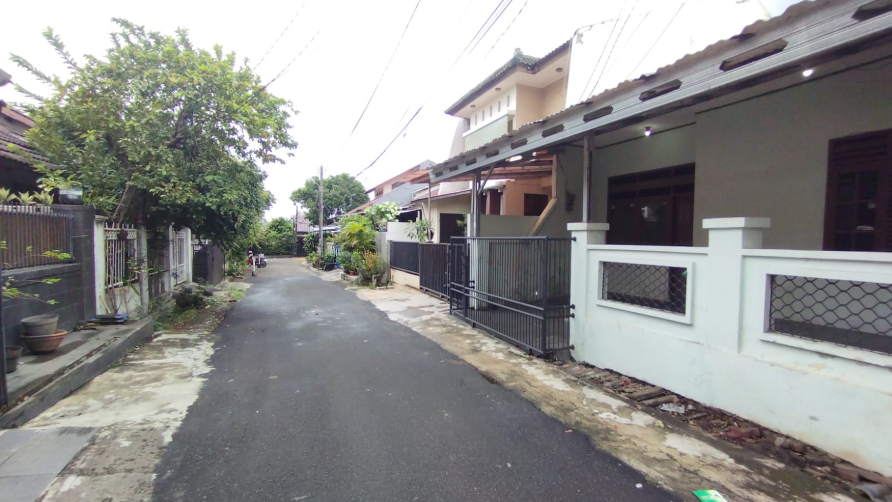 Dijual cepat rumah di jalan pinus griya loka bsd city strategis murah siap huni