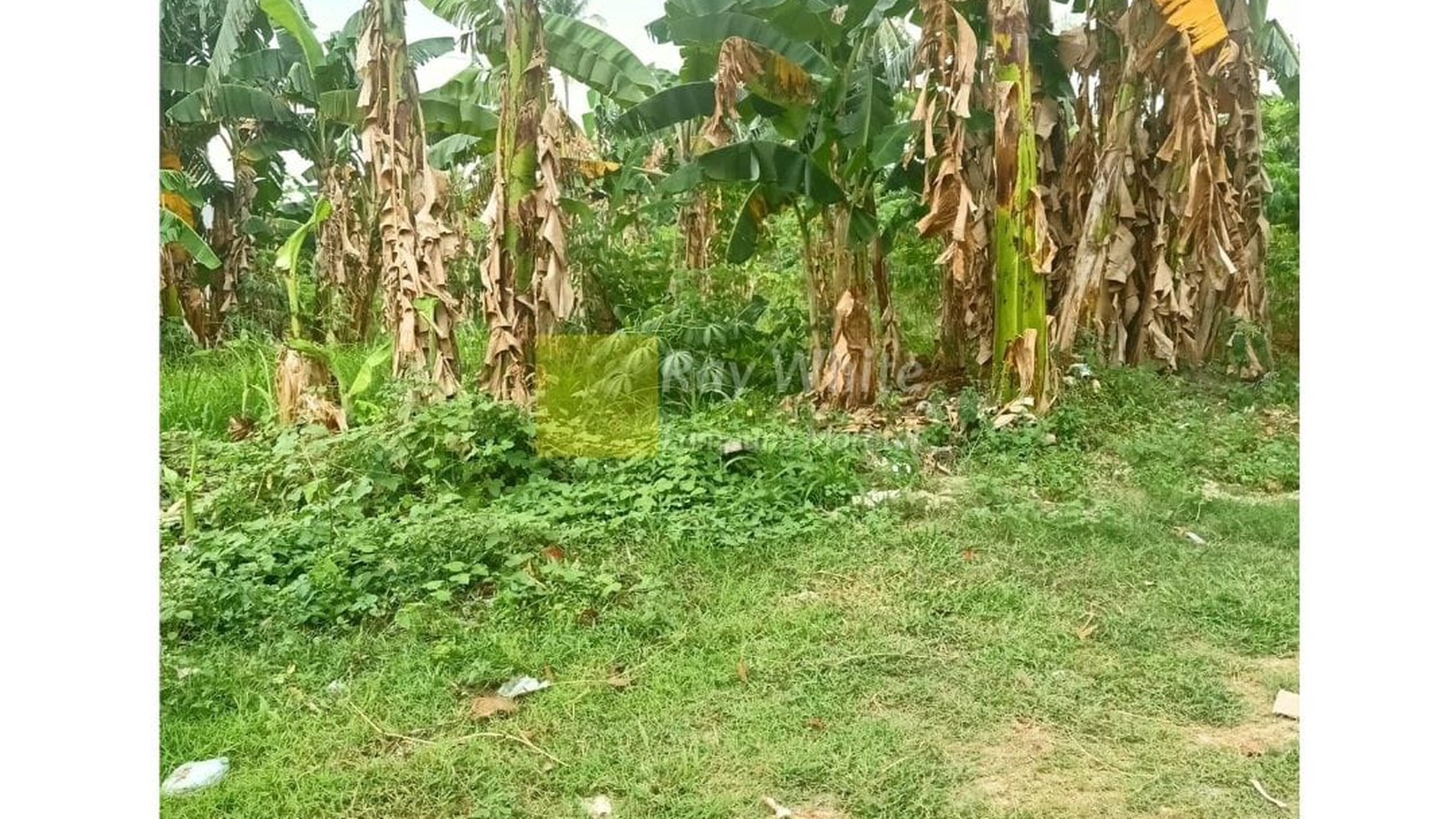 Tanah Untuk Perumahan