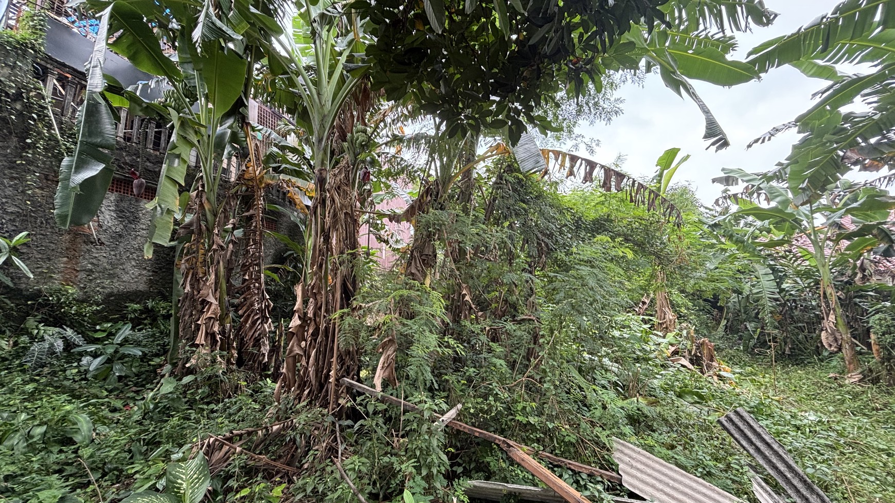 Tanah Saja Bonus Rumah Tinggal Luas 960m2 di Ciracas Jakarta Timur