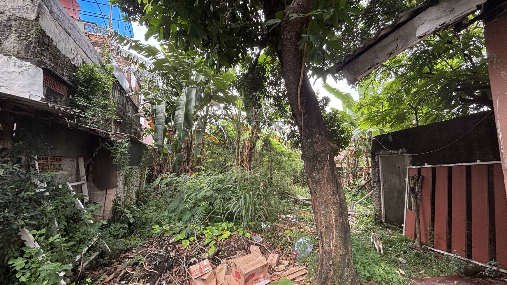 Tanah Saja Bonus Rumah Tinggal Luas 960m2 di Ciracas Jakarta Timur
