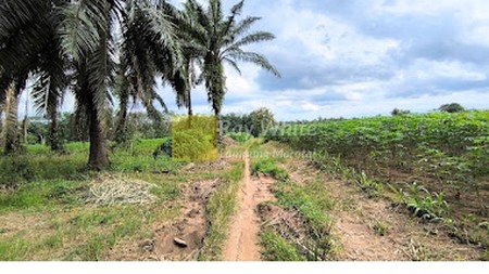 Jual tanah 4550m2 Dekat Kotabaru Itera