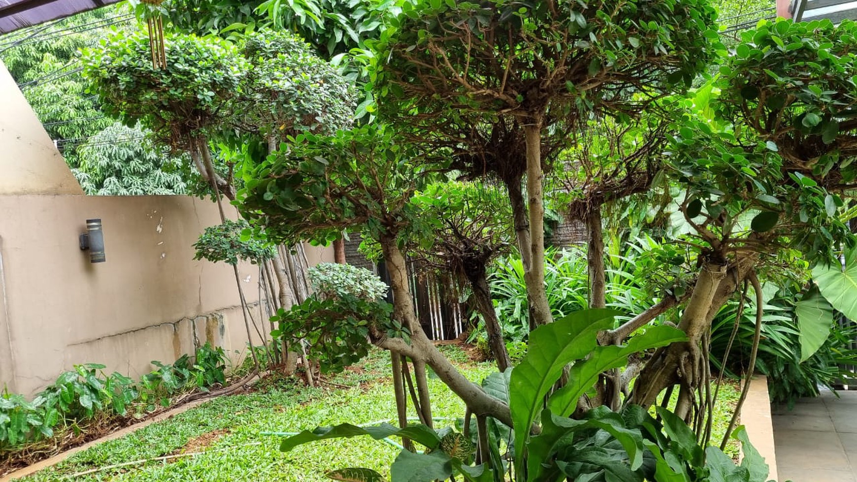 Rumah Siap Huni, Hunian Nyaman dengan Halaman Luas @Parkit, Bintaro.