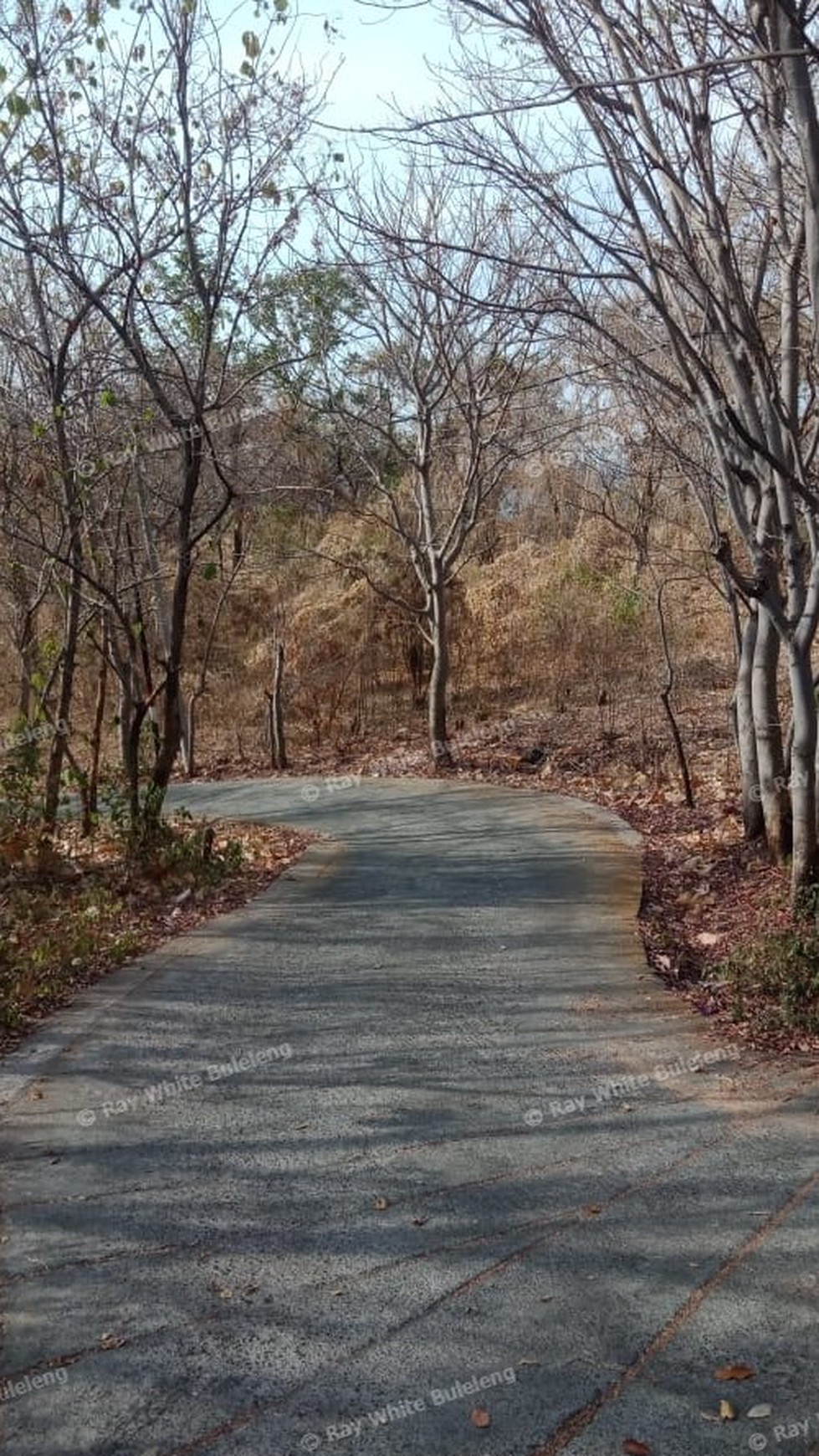 AMAZING SEA VIEW LAND FOR SALE