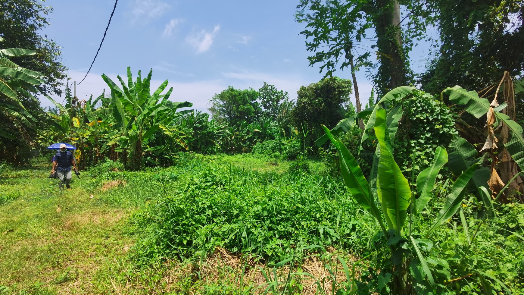 BEACH VIEW LAND NEAR CITY CENTER FOR SALE