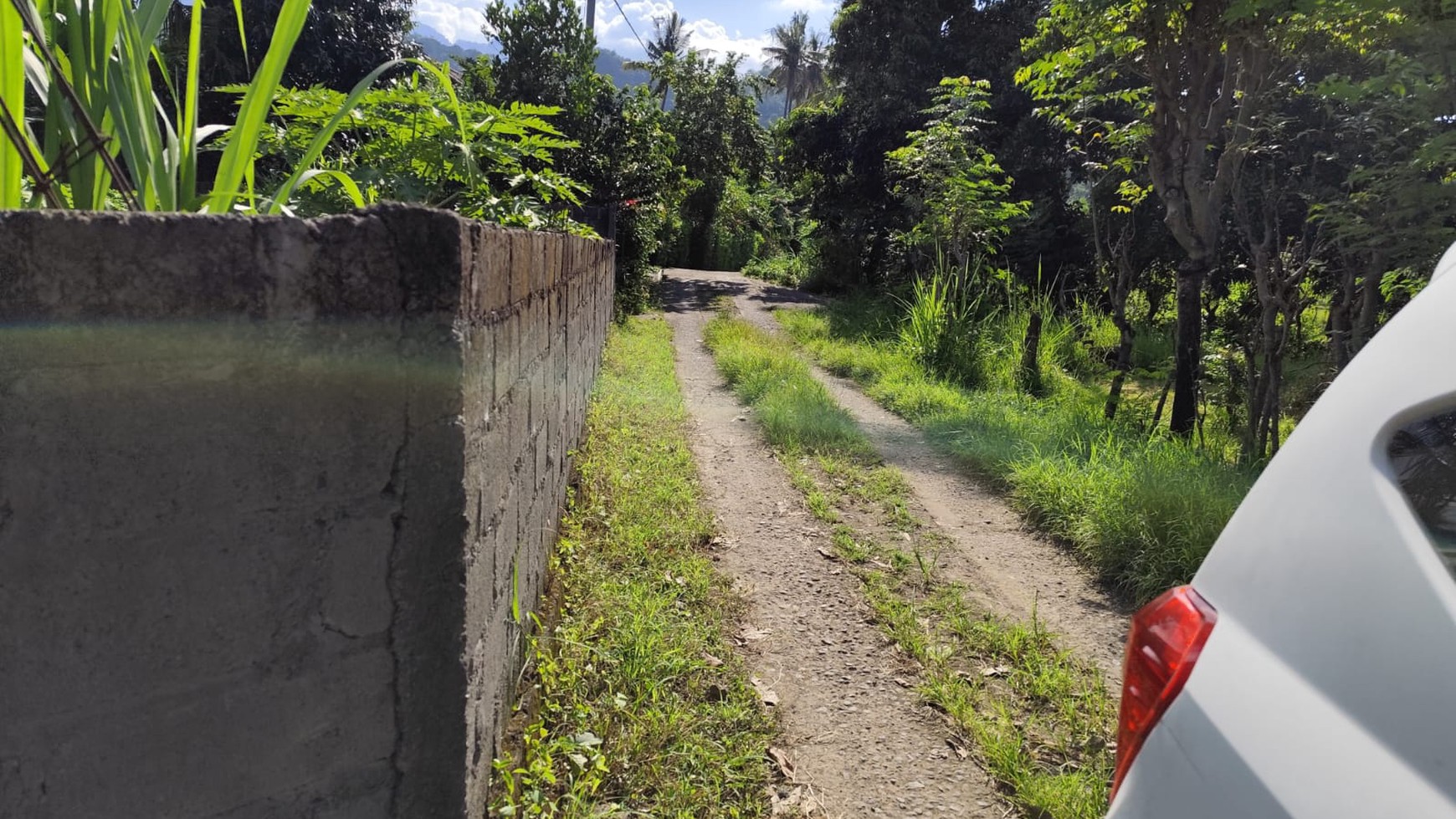 Eco-Rich Land with Subak Flow - Ideal for Agribusiness & Villa Development