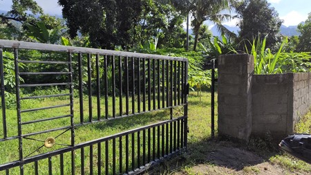 Eco-Rich Land with Subak Flow - Ideal for Agribusiness & Villa Development