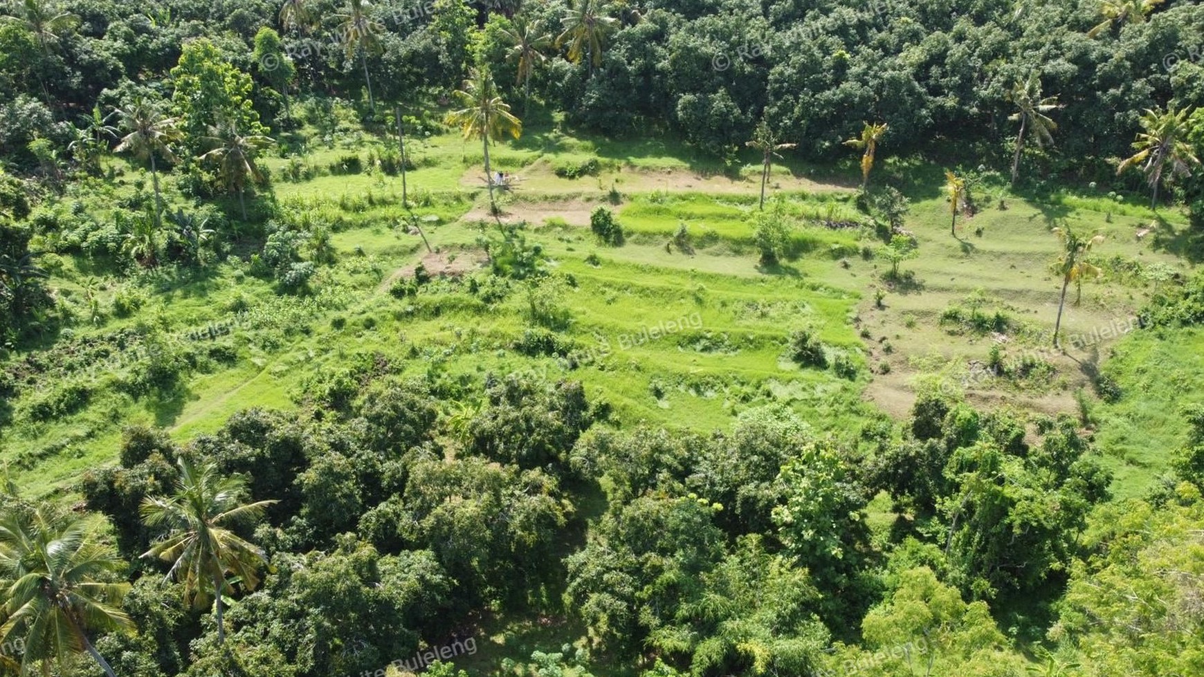 A STUNNING LAND IN LOVINA AREA