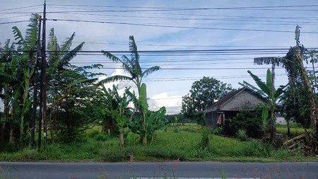 Tanah Sawah 2015 Meter Persegi Lokasi Dekat Candi Prambanan Klaten