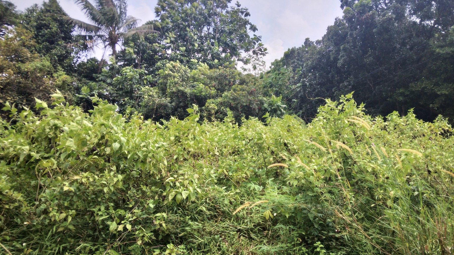 Kavling Hoek Siap Bangun di Taman Sari, Setu bekasi