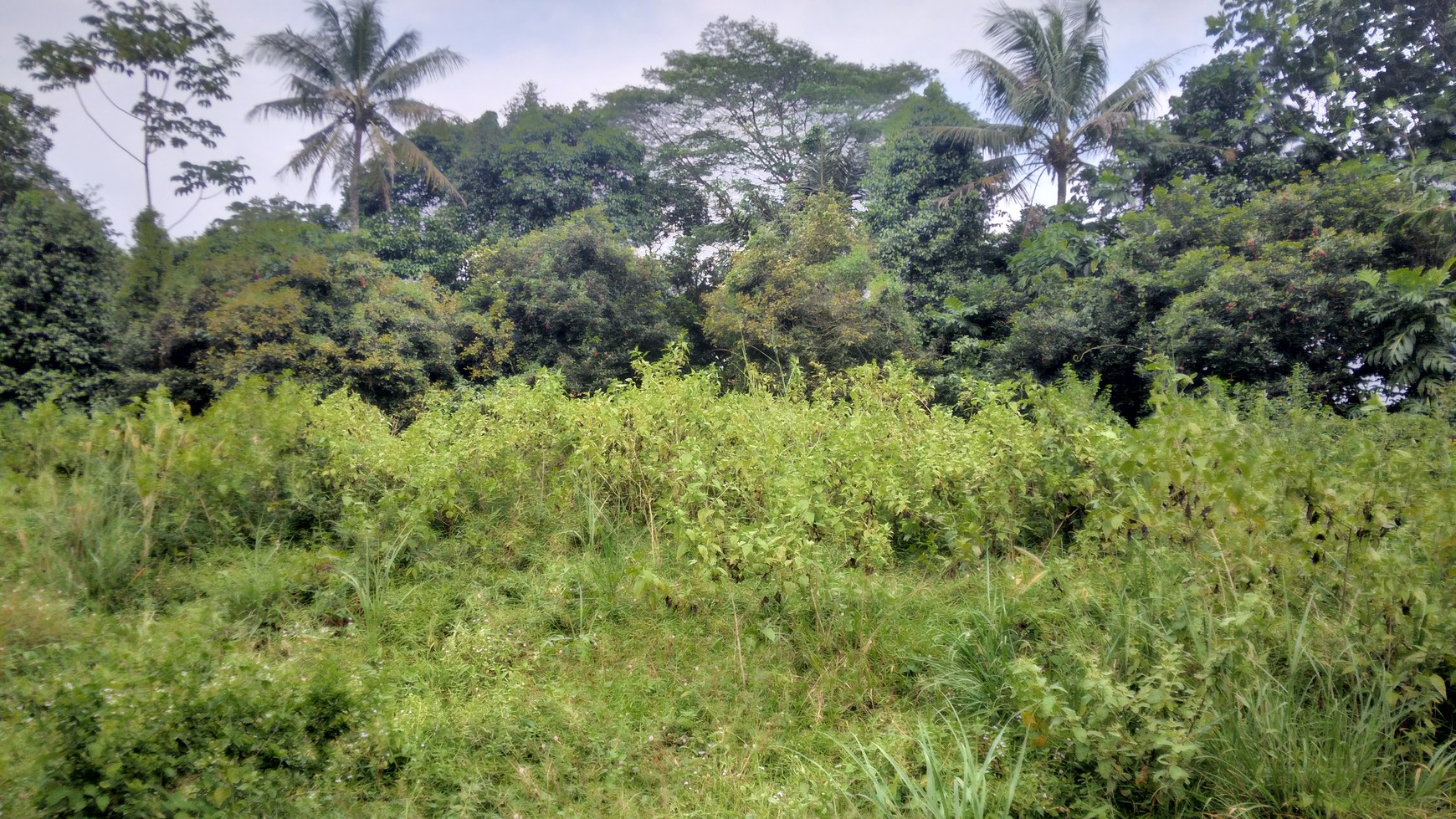 Kavling Hoek Siap Bangun di Taman Sari, Setu bekasi