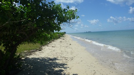 Land Freehold Beach Front In Sumba
