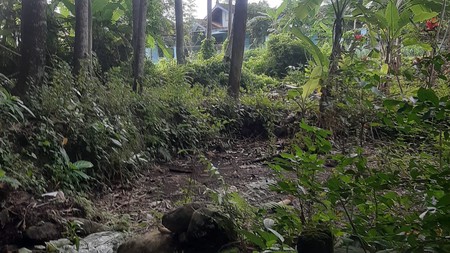 Tanah 2560 Meter Persegi Lokasi Dekat SMP Muhamammadiyah Ngemplak