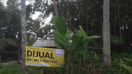 Tanah 1596 Meter Persegi Lokasi Dekat SMP Muhamammadiyah Ngemplak