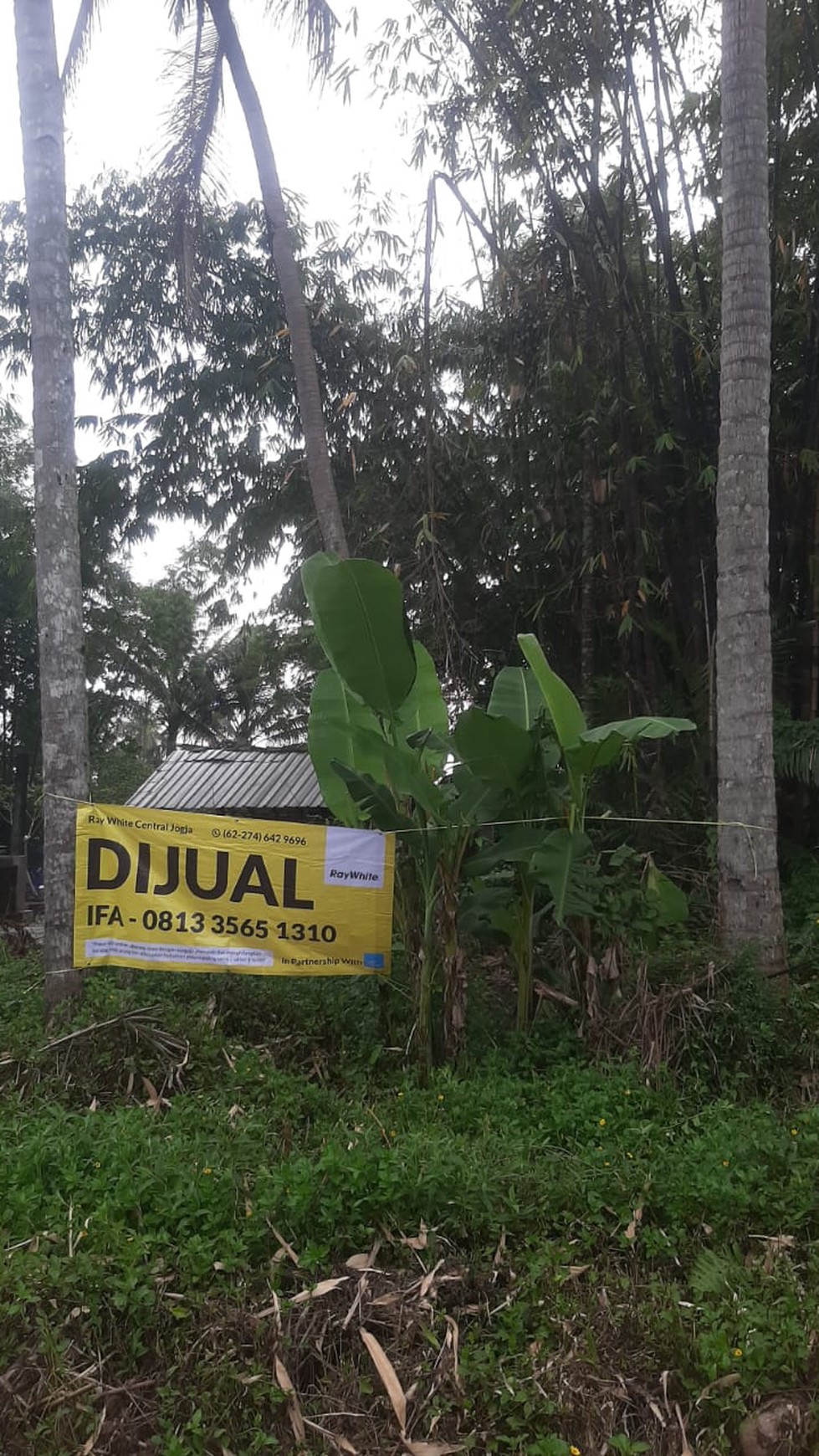 Tanah 1596 Meter Persegi Lokasi Dekat SMP Muhamammadiyah Ngemplak