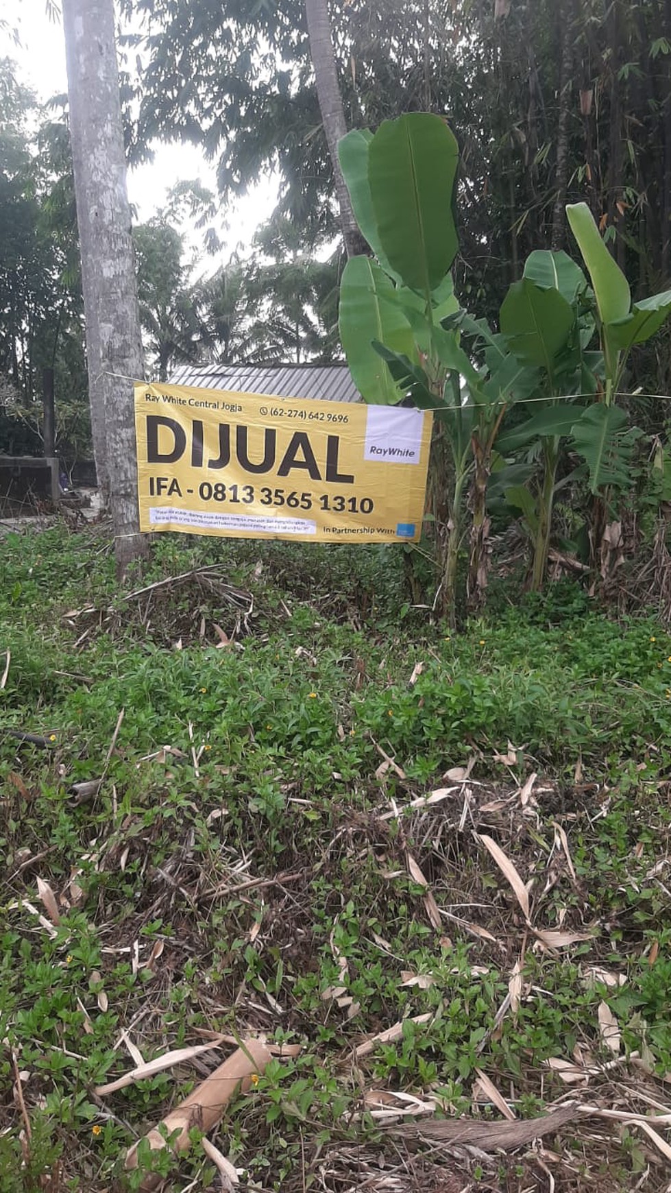 Tanah 1596 Meter Persegi Lokasi Dekat SMP Muhamammadiyah Ngemplak