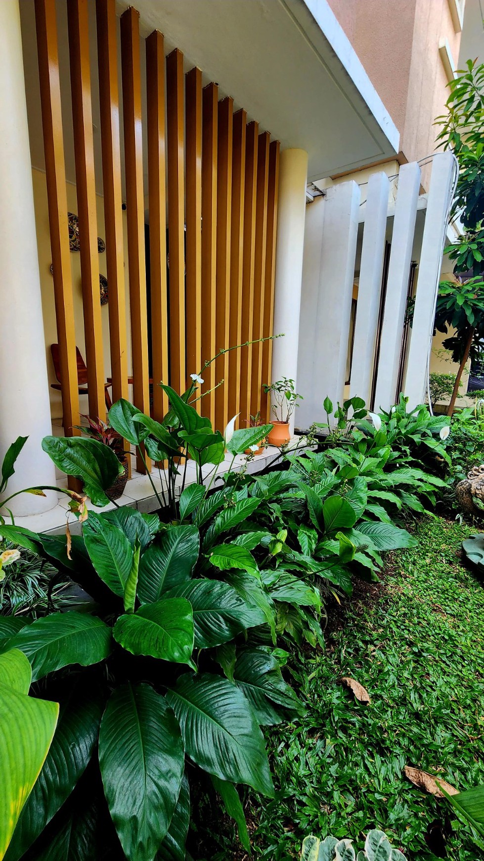 Rumah Siap huni,Bagus di Bintaro 7