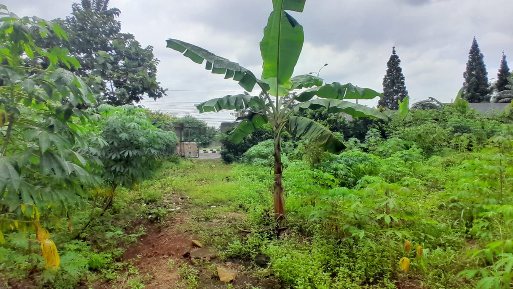 Tanah Strategis di Cikeas udik cocok  untuk restoran perkantoran gudang dll